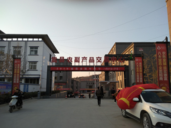 嵩縣農(nóng)副產(chǎn)品交易中心100噸雙向地衡 